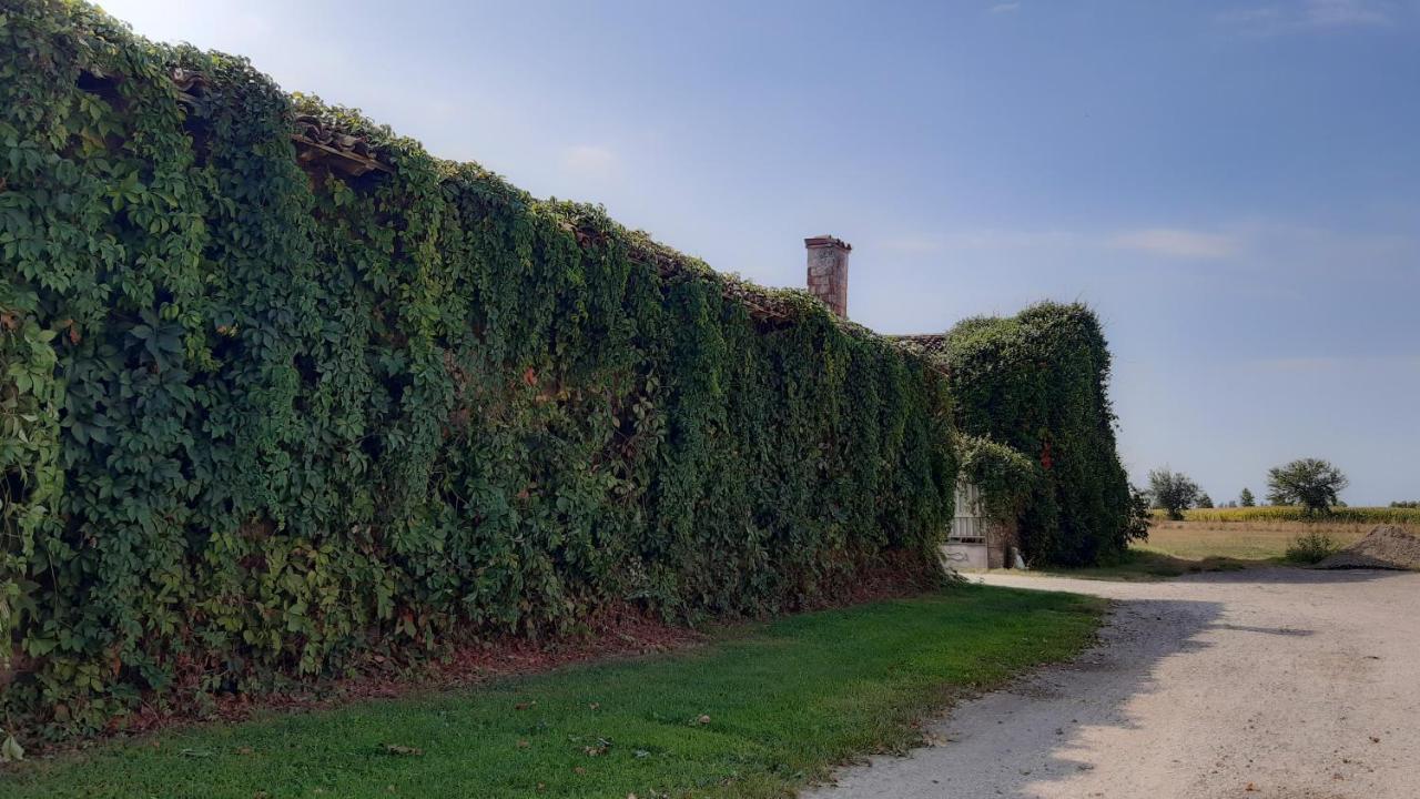 B&B Santa Cristina Montichiari Εξωτερικό φωτογραφία